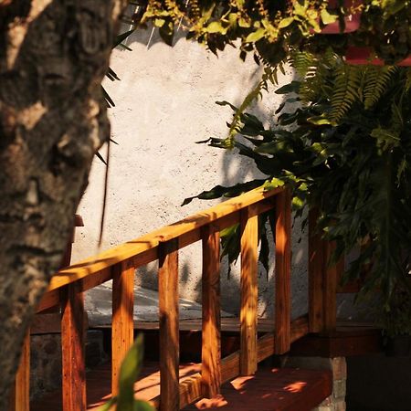 Casa Rustica Villa Atlixco Exteriör bild